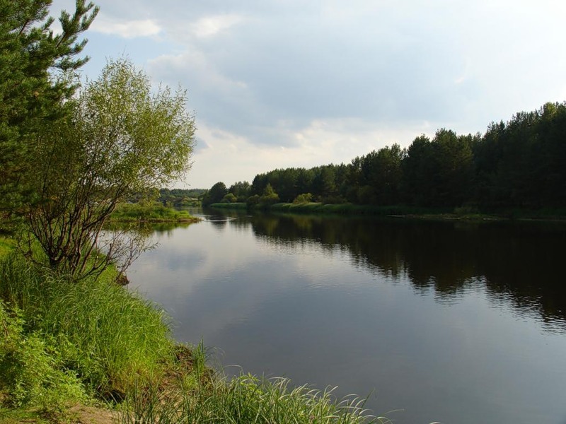 исток реки великой псковской. стихотворение о реке. речка люби. гайна и требигильда. красота реки омь.