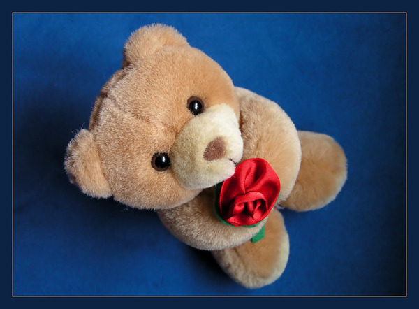 Кристофер робин винни пух 2018. Зеленый плюшевый мишка. Милые медвежата. Медвежонок с лавандой. Мишку надо.