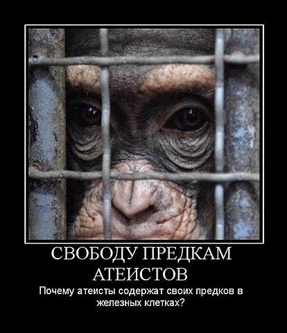 Корова идет, атеизм смешные картинки
