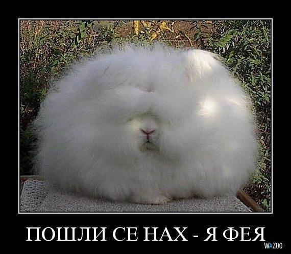 ÐоÑожее изобÑажение