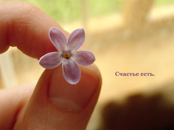 bf8488e54b330168e748fcf9a3835961_i-323.j