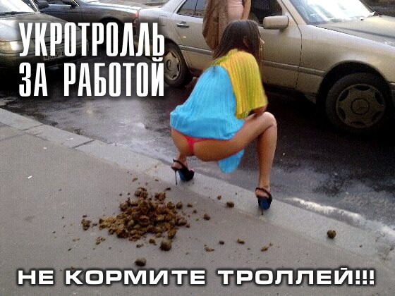 мидии картинки про укротроллей трем