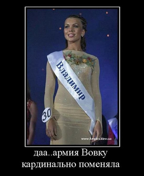 Володька наглаженный оригинал
