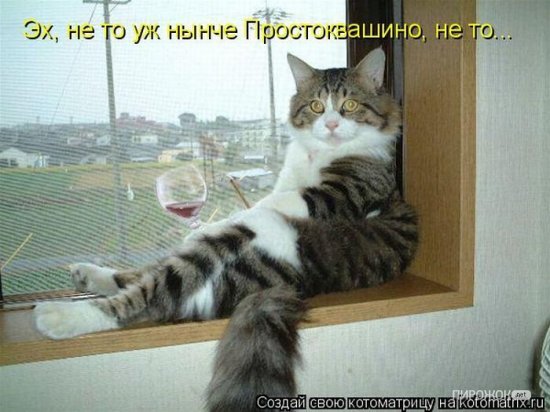 Капустник. Сценарий Извинения перед сестрой в стихах