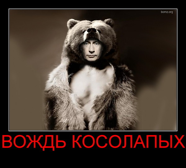 Гифки, картинка день народного единства смешная