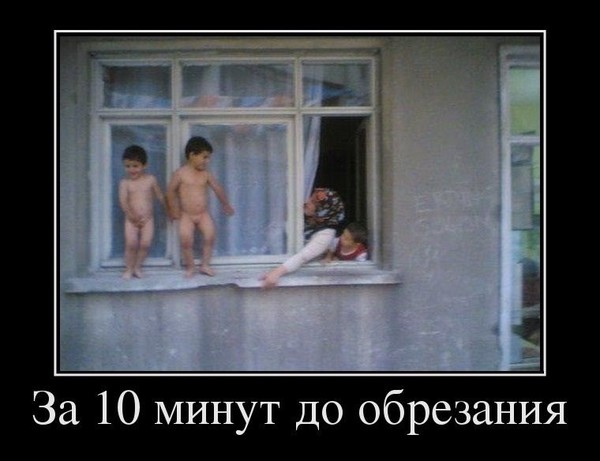 Почему мусульмане редко болеют простатитом? Почему мусульмане редко болеют простатитом?