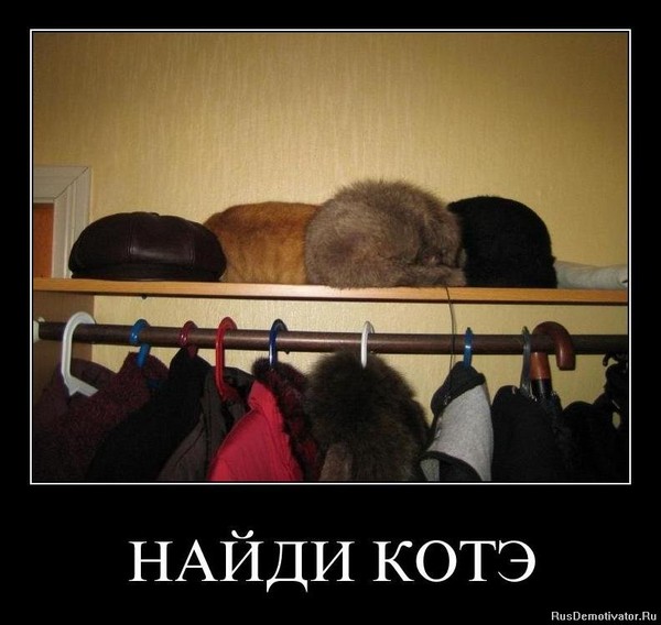 В чем прикол картинки найди кота, истории новогодней открытки