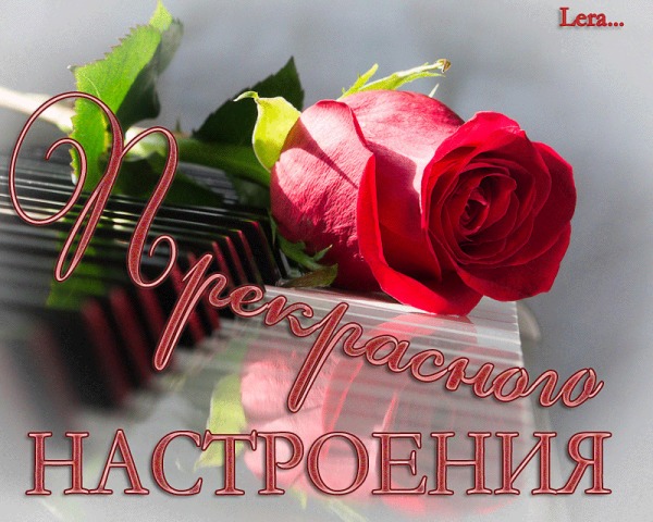 Бесплатные открытки и плейскаты Бесплатные открытки и плейскаты