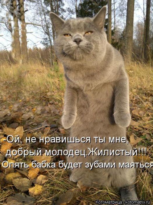 Открытки где нашли мое фото, днем