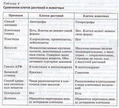 обслуживание, кредитование, видали ли вы старый серый камень стили речи специальные