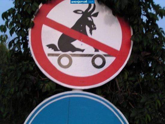25 Funny Animal Signs Funny street signs, Funny road signs, Funny signs