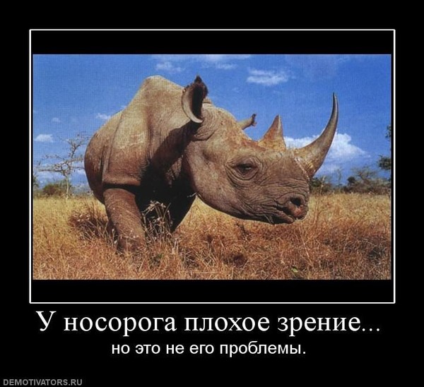 Плохое зрение картинки приколы