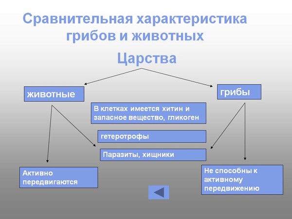 Опорная таблица сравнительная характеристика представителей царств живой природы