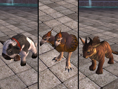 d1b3cb01a06e4a3b3751cdd328e38c8a_i-17317