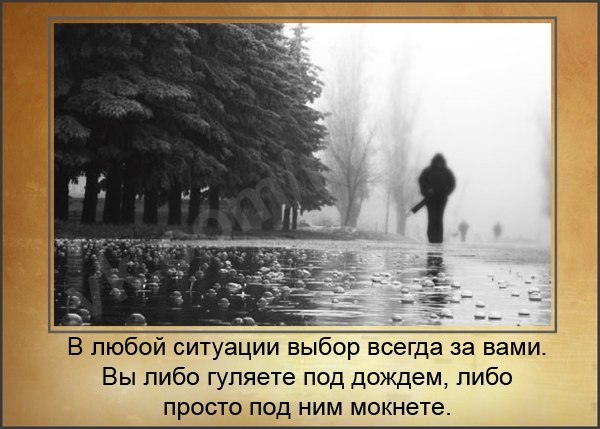 Цитаты про дождь и счастье. Жизнь не для того чтобы ждать когда стихнет ливень. Ироничные цитаты про дождь. Научись танцевать под дождем. Под дождем фраза.