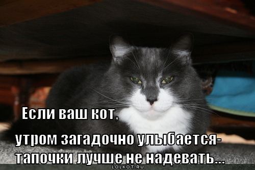 Ответы Mail.ru: Чего же боле? (фото)