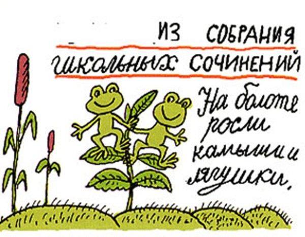Прикольная картинка сочинения