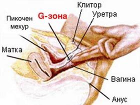 Как найти у девушки точку у знакомства свич ангарск