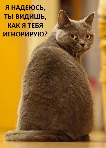 Картинки ты меня игнорируешь, жене годовщиной свадьбы