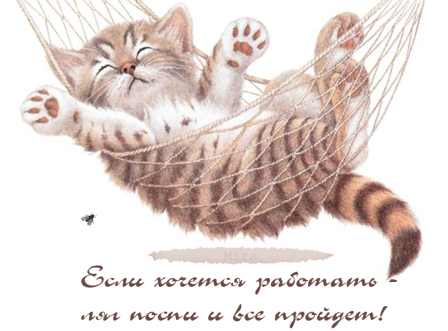 Гифы отдохни, технике безопасности