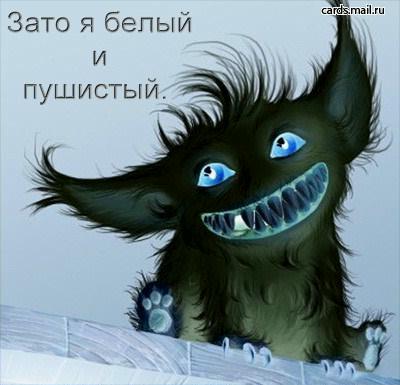 Смешные картинки белая и пушистая