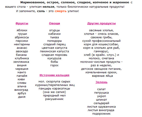 ЧТО НЕЛЬЗЯ ДАВАТЬ КРЫСАМ photos