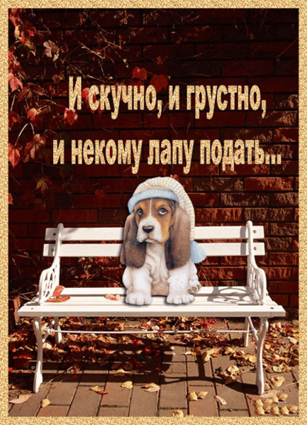 Мне очень скучно открытки