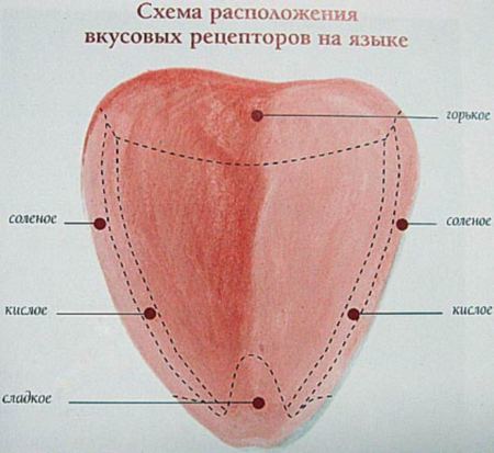 A чтo интepecнoгo o чeлoвeчecкoм opгaнизмe знaeтe вы? 2023 Интересные факты ВКон