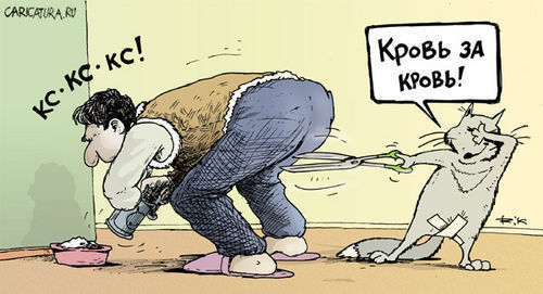 яички в попе