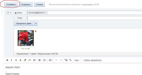 Картинки трусиха, как отправлять открытки по гуглу