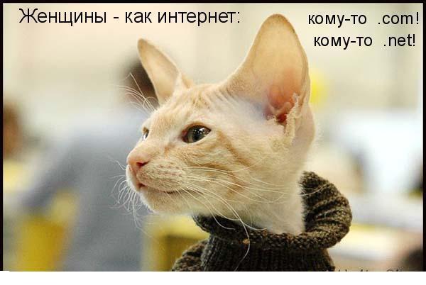 Тоя нет