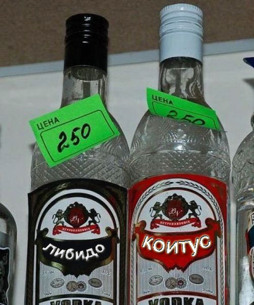 Папе, водка смешная картинка