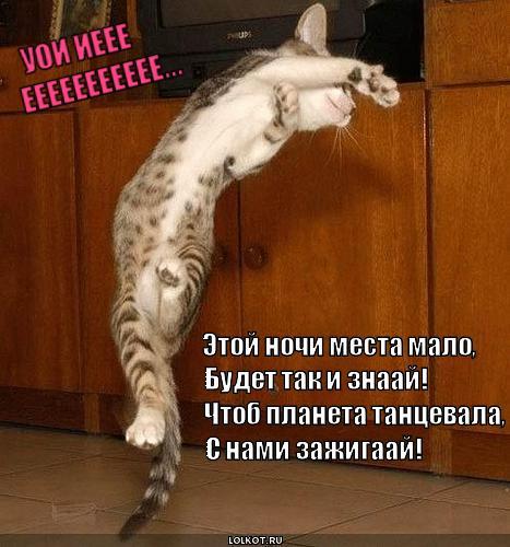 А МЫ ТАНЦУЕМ ЗАЖИГАЕМ ЭТОЙ НОЧЬЮ ТУТ И ТАМ СКАЧАТЬ БЕСПЛАТНО А МЫ ТАНЦУЕМ ЗАЖИГАЕМ ЭТОЙ НОЧЬЮ ТУТ И ТАМ СКАЧАТЬ БЕСПЛАТНО