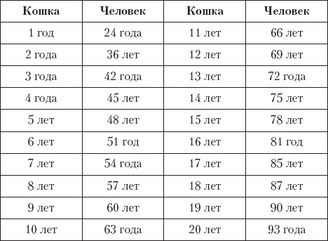 Как определить, сколько лет собаке по человеческим меркам: таблица Как определить, сколько лет собаке по человеческим меркам: таблица