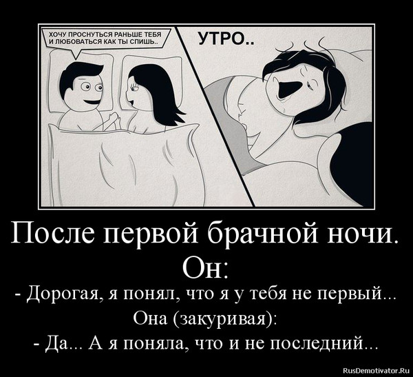 Смешные картинки для брачной ночи