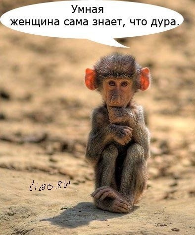 А САМ УКУРЕННЫЙ СТОЮ КОШУ НА ДУРОЧКУ MP3 СКАЧАТЬ БЕСПЛАТНО А САМ УКУРЕННЫЙ СТОЮ КОШУ НА ДУРОЧКУ MP3 СКАЧАТЬ БЕСПЛАТНО