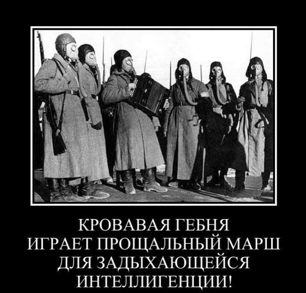 e9a08369e6fe88a49cb9a504b1e640f5_h-173.j