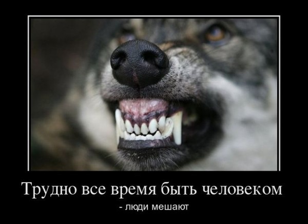 Как сделать чтобы тебя боялись фото 415