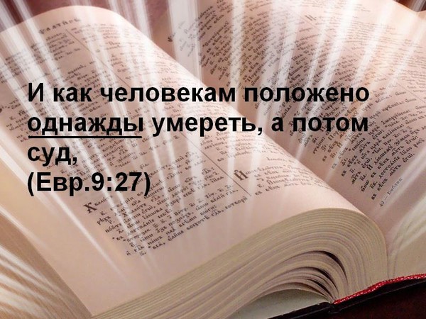 Плоть и суть текст
