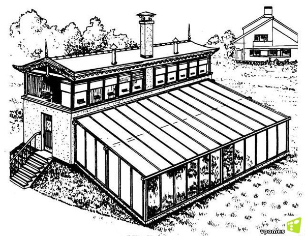 Солнечный вегетарий книга - Солнечный вегетарий Иванова - Теплица - Каталог стат