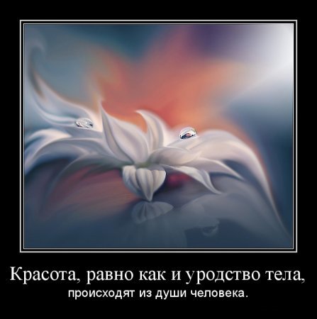 Красота души примеры из жизни
