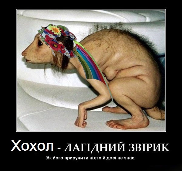 Подписать, смешные картинки с надписями про хохлов