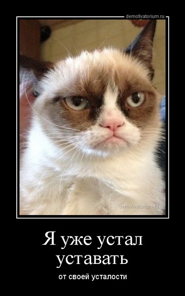 Мем уставший кот