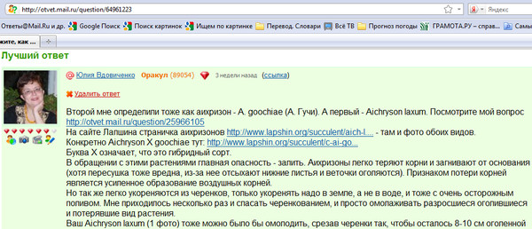 куда обратиться глухому человеку по поводу работы
