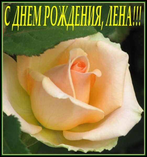 Картинки с днем рождения лена гифки
