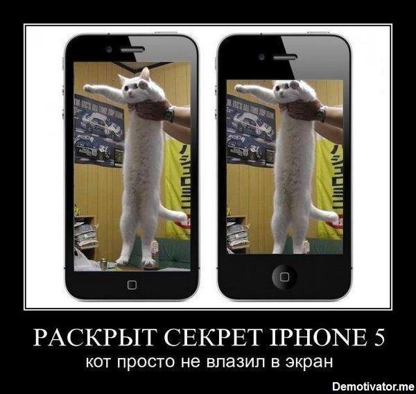 Приколы картинки на айфон