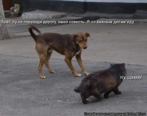 ТЫ КО МНЕ НЕ ПОДХОДИ И Я К ТЕБЕ ПОДОЙДУ СКАЧАТЬ БЕСПЛАТНО ТЫ КО МНЕ НЕ ПОДХОДИ И Я К ТЕБЕ ПОДОЙДУ СКАЧАТЬ БЕСПЛАТНО