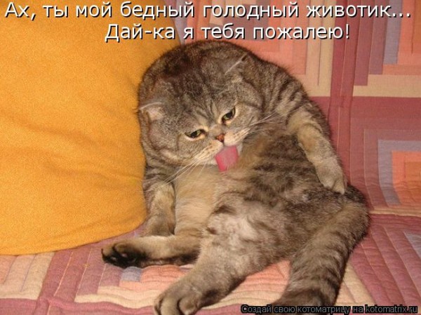 Прекрасного понедельника, дай пожалею открытка