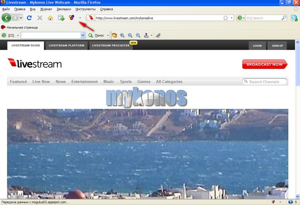 SCARICARE VIDEO LIVESTREAM