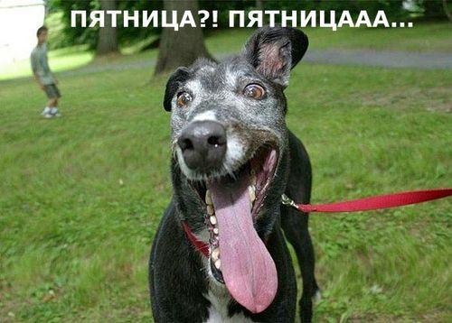 ура домой картинки онлайн ура домой картинки